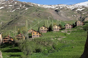 Dizin Chalets